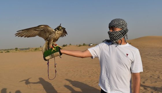 premium desert safari