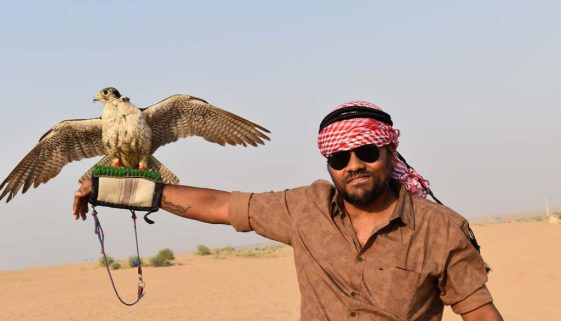 desert safari uae