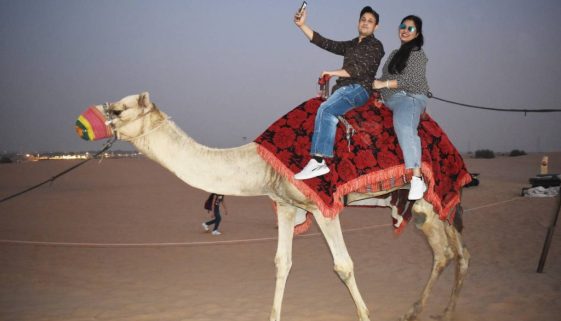 Adventure Desert Safari Dubai