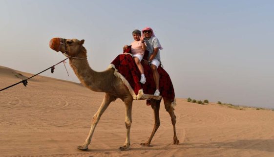 camel ride dubai