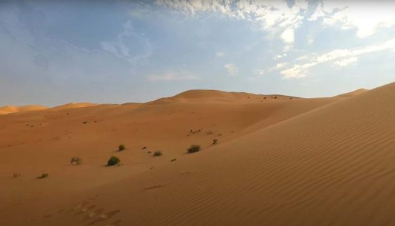 Desert Safari Abu Dhabi