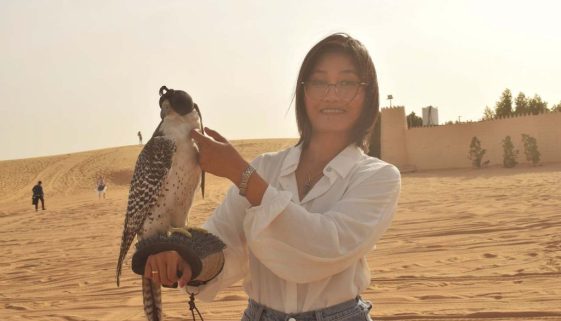 Desert Safari with Falcon photo