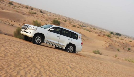Luxury Desert Safari (6h)